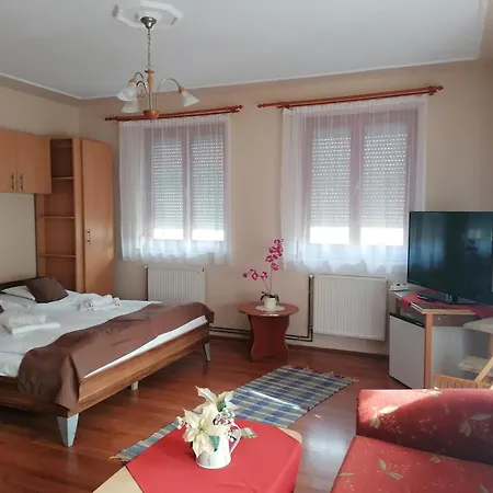 Iglodi Panzio Penzion Kunszentmárton