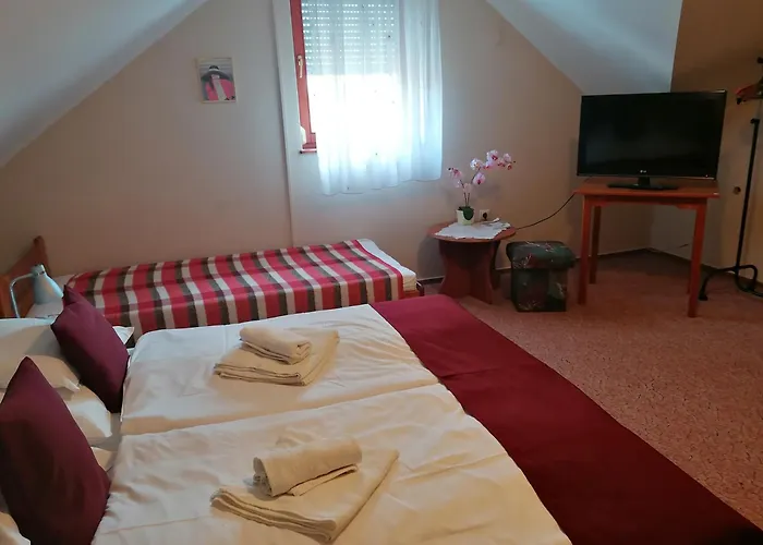 Pensiune Iglodi Panzio 3*